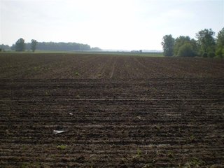 46 Acres (30 tillable).  1600' of Frontage along I-69.  (Average daily volume of 35,780).  Additional frontage on CR 1000 W and CR 650 N.  Excellent billboard/cell tower possibilities.  Will divide. - 46 Acres Quality Farmland